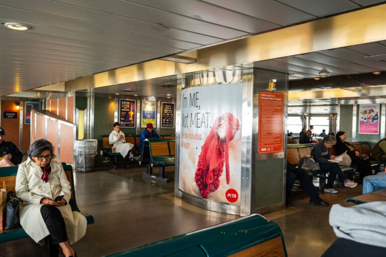 Advertising PETA on the staten island ferry in new york